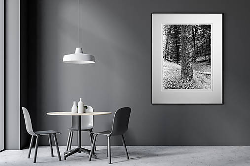 Fotografie - Fine Art Print “Textúra dreva” / “Wood texture - 15686277_