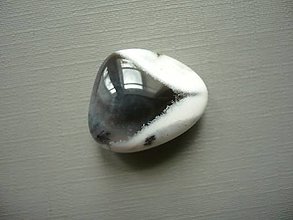 Minerály - Valounek - dendrit. opál AAA 22 mm, č.11f - 15686664_