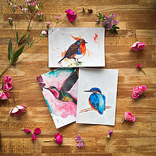Papiernictvo - Pohľadnice zo série “vtáčko štebotavý” - 15692536_