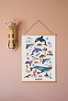 Obrazy - Náučný Plagát Oceán, art print, obraz do detskej izby - 15702626_