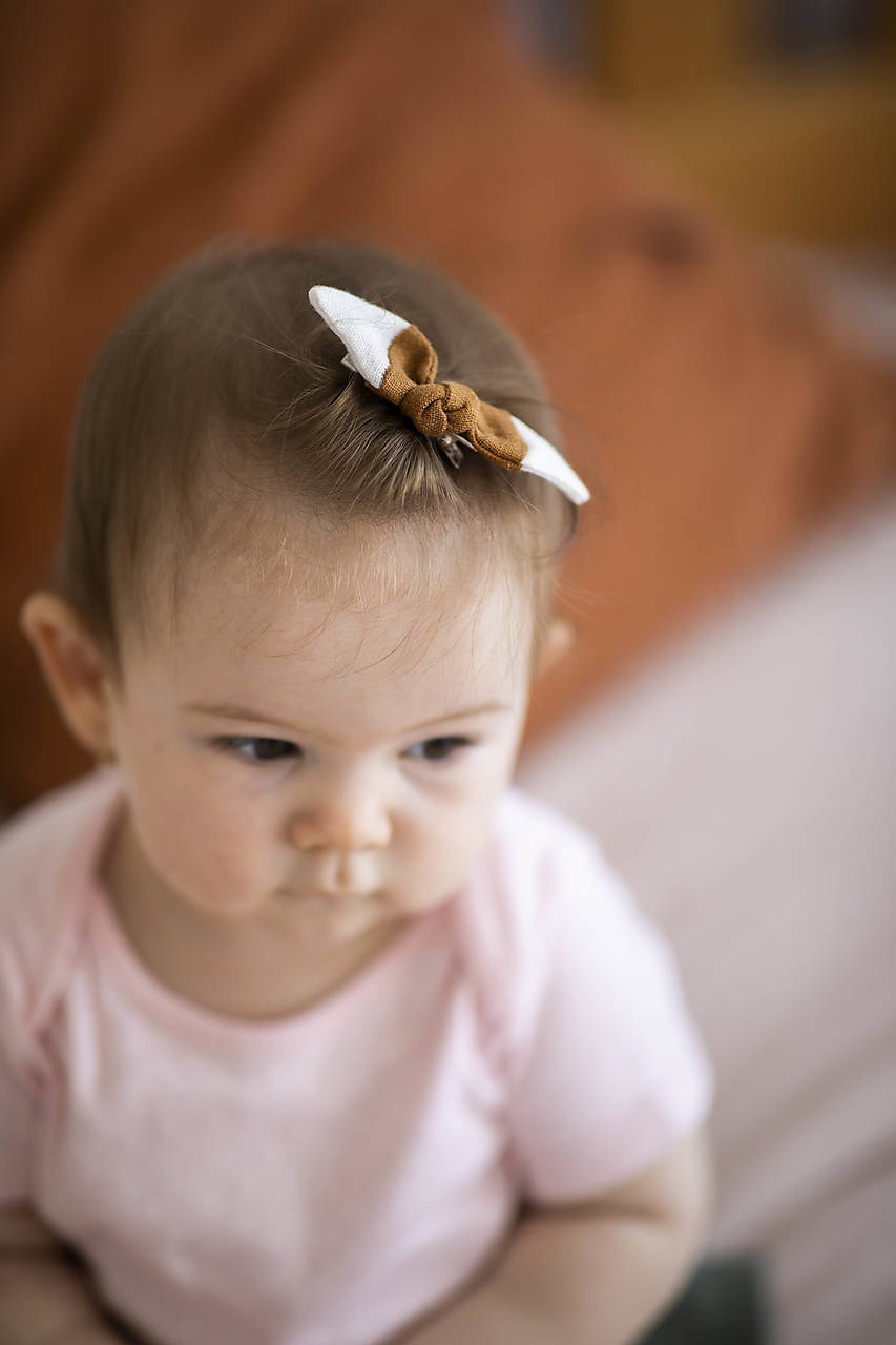 Sponka/gumička do vlasov Malá líška