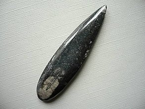 Minerály - Orthoceras 59 mm, č.9f - 15710484_