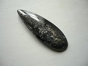 Minerály - Orthoceras 55 mm, č.30f - 15710496_
