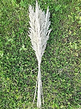 Dekorácie - Kytička z lúčnej trávy - 15712616_