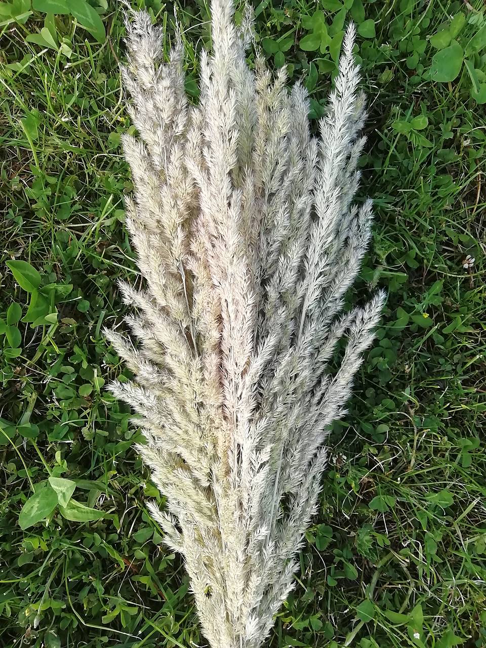 Výpredaj - Kytička z lúčnej trávy