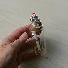 Polotovary - Správa pre Deda Mráza vo fľaši - 15711615_