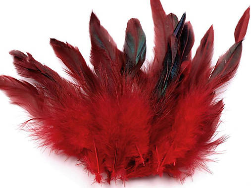 Slepačie perie 6-20 cm 20 ks (Červená)