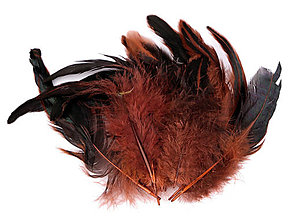Suroviny - Slepačie perie 6-20 cm 20 ks (Oranžová) - 15726002_
