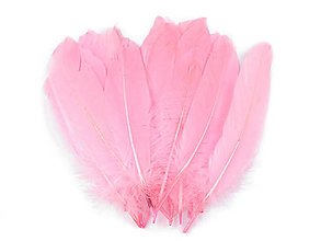 Suroviny - Husacie perie 12-21 cm 20 ks (ružová cukríková) - 15741272_