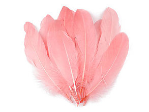 Suroviny - Husacie perie 12-21 cm 20 ks (pink korálová) - 15741273_