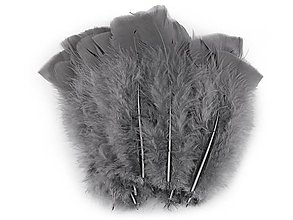 Suroviny - Morčacie perie 11-17 cm 20 ks (šedá) - 15747578_