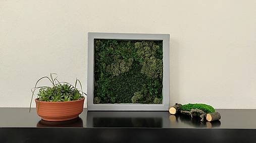 Obrazy - Obraz z machu 2: Štvorec šedý (30 x 30 cm) - 15766313_