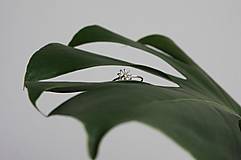 Prstene - Strieborný prsteň sedmokráska - 15776027_