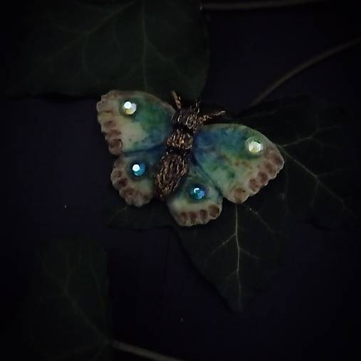 Modrý-zelený Motýľ nesúci na krídlach leto