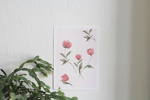 Kresby - Akvarelový print| botanická ilustrácia Pivonky - 15780602_