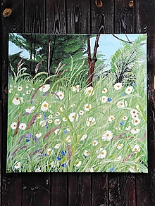 Obrazy - Lúka plná kvetov - akryl na plátne - 15786347_