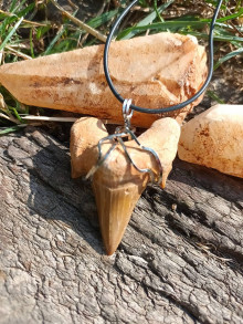 Náhrdelníky - Otodus obliquus-žraločí zub ,,maxi,, - 15787544_