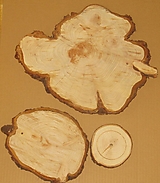 Dekorácie - Drevené plátky - sada 3 kusy, 31 cm, 18 cm, 10 cm - 15788577_