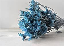 Suroviny - Nigella - farba modrá - 15797530_