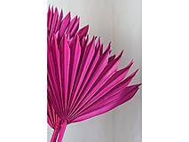 Palmový list veľký - farba ružová
