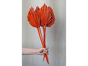 Suroviny - Palmový list - farba oranžová - 15799337_