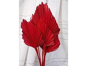 Suroviny - Palmový list - farba červená - 15799372_