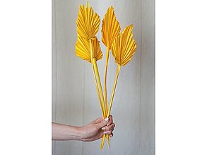 Suroviny - Palmový list - farba žltá - 15799379_