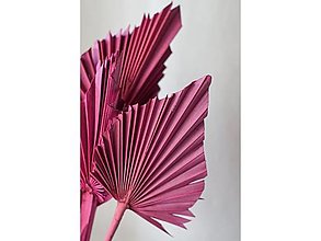 Suroviny - Palmový list - farba ružová - 15799392_