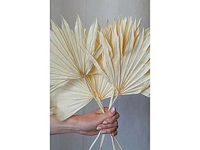 Suroviny - Palmový list veľký - farba biela - 15799458_