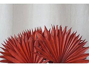 Suroviny - Palmový list veľký - farba hnedá - 15799493_