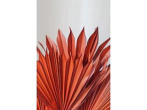 Suroviny - Palmový list veľký - farba oranžová - 15799504_