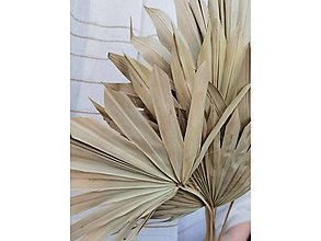 Suroviny - Palmový list veľký - farba natur - 15799519_