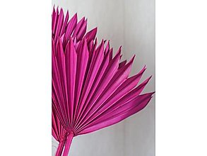 Suroviny - Palmový list veľký - farba ružová - 15799526_