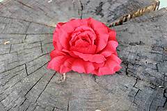 Ruža červená, hlavička 10cm - dekorácia