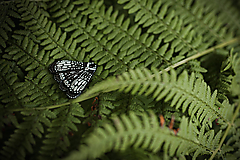 Brošne - Brošňa Nočný motýľ čierny - 15803746_