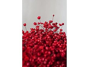 Suroviny - Glixia - farba červená - 15805526_