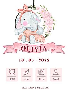 Grafika - Personalizovaný plagát dieťatka - elektronická verzia (sloník dievča) - 15806381_