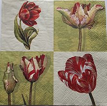 Papier - tulipány 33x33 - 15808757_