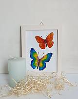Motýľ - obrázok