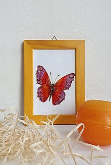 Dekorácie - Motýľ - obrázok - 15807737_