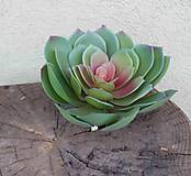 Iný materiál - kaktus umelý 19cm - dekorácia - 15816774_