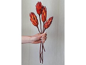 Suroviny - Protea - farba červená - 15818488_