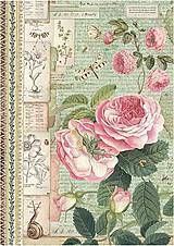 Papier - Papier na decoupage - anglické ruže - 15830013_