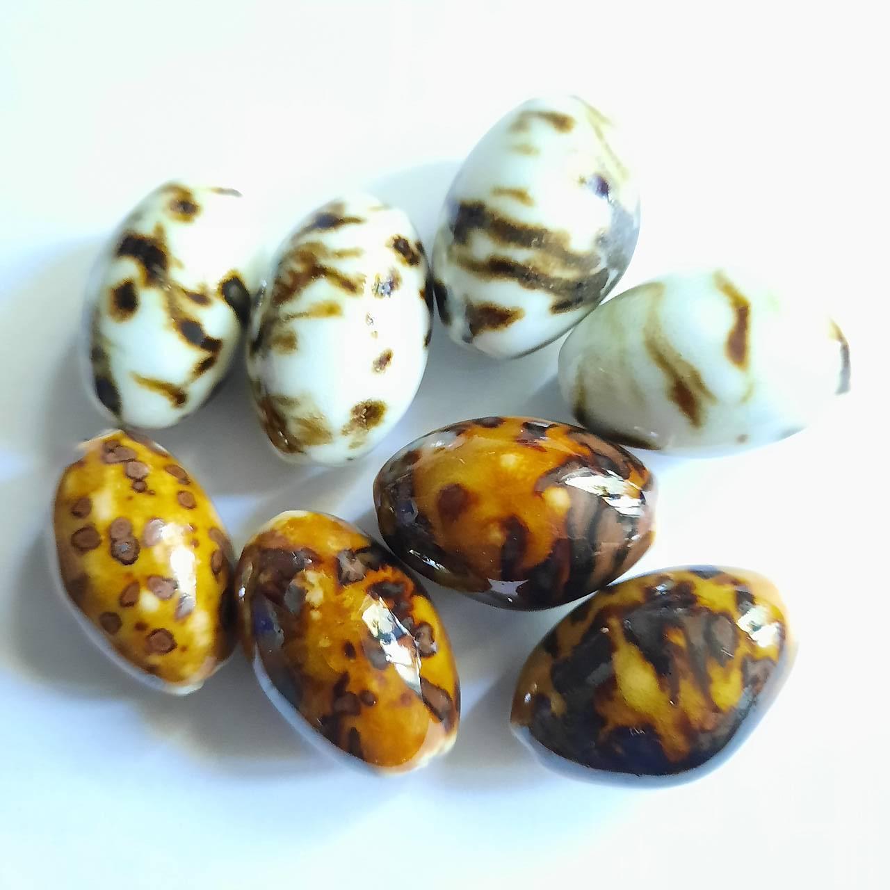 Porcelánová oliva 15x25mm-1ks