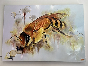 Obrazy - Včielka, včelička - 15841805_