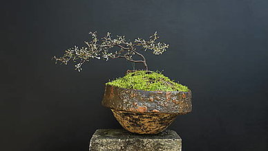 Nádoby - Keramická misa / kvetináč na bonsai - 15841376_