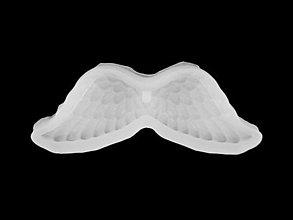 Nástroje - Silikónová  forma - anjelské krídla, 10,5x4,5 cm - 15853923_