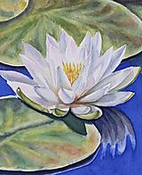 Grafika - Biely lotos.  Botanický akvarel - 15859026_