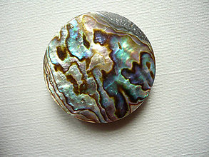 Minerály - Kabošon - paua mušle 28 mm, č.7f - 15859544_