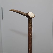 Pánske doplnky - drevená vychádzková palica z parožia - 15860359_